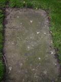 image of grave number 17317
